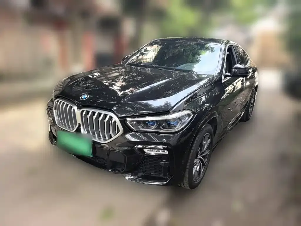 2020 BMW X6
