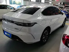 2024 BYD Destroyer 05 DM-i PHEV 55km Luxury, белый — фото 3