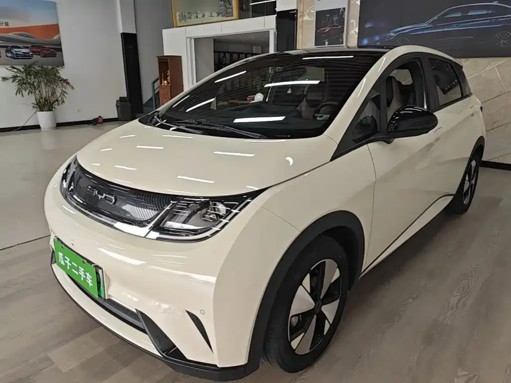 2023 BYD Dolphin 420km Fashion
