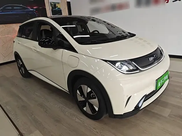 2023 BYD Dolphin 420km Fashion