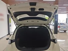 2023 BYD Dolphin 420km Fashion, белый — фото 19
