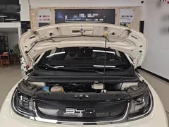 2023 BYD Dolphin 420km Fashion, белый — фото 20
