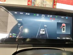 2024 BYD Song L PHEV 160KM Exceed — фото 12