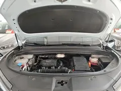 2024 BYD Song L PHEV 160KM Exceed — фото 20