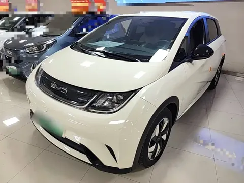 2025 BYD Dolphin 420km Freedom