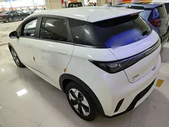 2025 BYD Dolphin 420km Freedom — фото 5