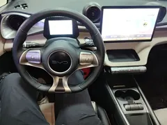 2025 BYD Dolphin 420km Freedom — фото 10