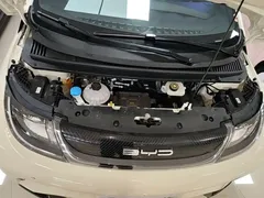2025 BYD Dolphin 420km Freedom — фото 20