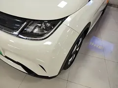 2025 BYD Dolphin 420km Freedom — фото 24