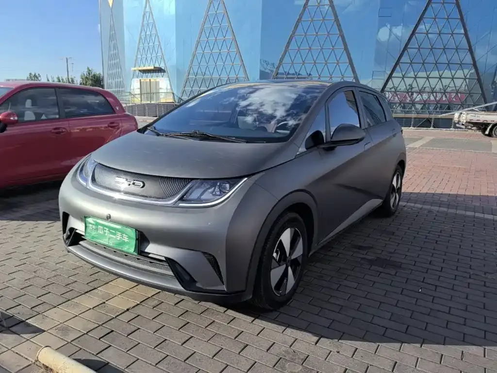 2023 BYD Dolphin 420km Fashion