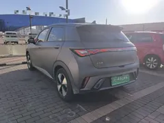 2023 BYD Dolphin 420km Fashion — фото 5
