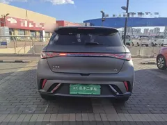 2023 BYD Dolphin 420km Fashion — фото 6