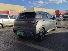 2023 BYD Dolphin 420km Fashion — фото 7