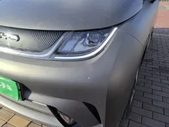 2023 BYD Dolphin 420km Fashion — фото 24