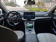 2024 BYD Destroyer 05 DM-i PHEV 55km Luxury — фото 10