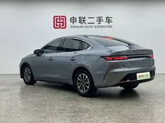 2024 BYD Destroyer 05 DM-i PHEV 55km Luxury — фото 4
