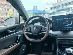 2023 BYD Tang DM-i PHEV 112KM Champion Premium — фото 7