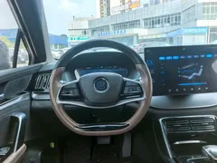 2023 BYD Tang DM-i PHEV 112KM Champion Premium — фото 8
