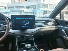 2023 BYD Tang DM-i PHEV 112KM Champion Premium — фото 9