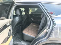 2023 BYD Tang DM-i PHEV 112KM Champion Premium — фото 13