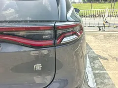 2023 BYD Tang DM-i PHEV 112KM Champion Premium — фото 15