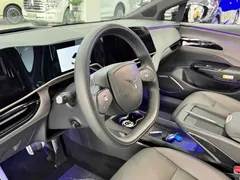 2025 Hongqi EH7 640 4WD — фото 8