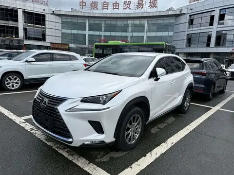 2020 Lexus NX 200 2WD Fengxing China VI