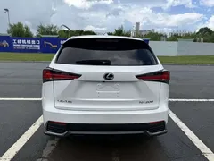 2020 Lexus NX 200 2WD Fengxing China VI, белый — фото 7