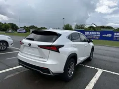 2020 Lexus NX 200 2WD Fengxing China VI, белый — фото 8