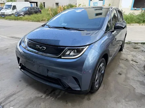2024 BYD Dolphin Honor 420km Fashion