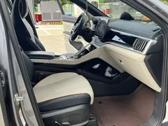2021 BYD Song PLUS DM-i PHEV 110KM Flagship Plus — фото 7