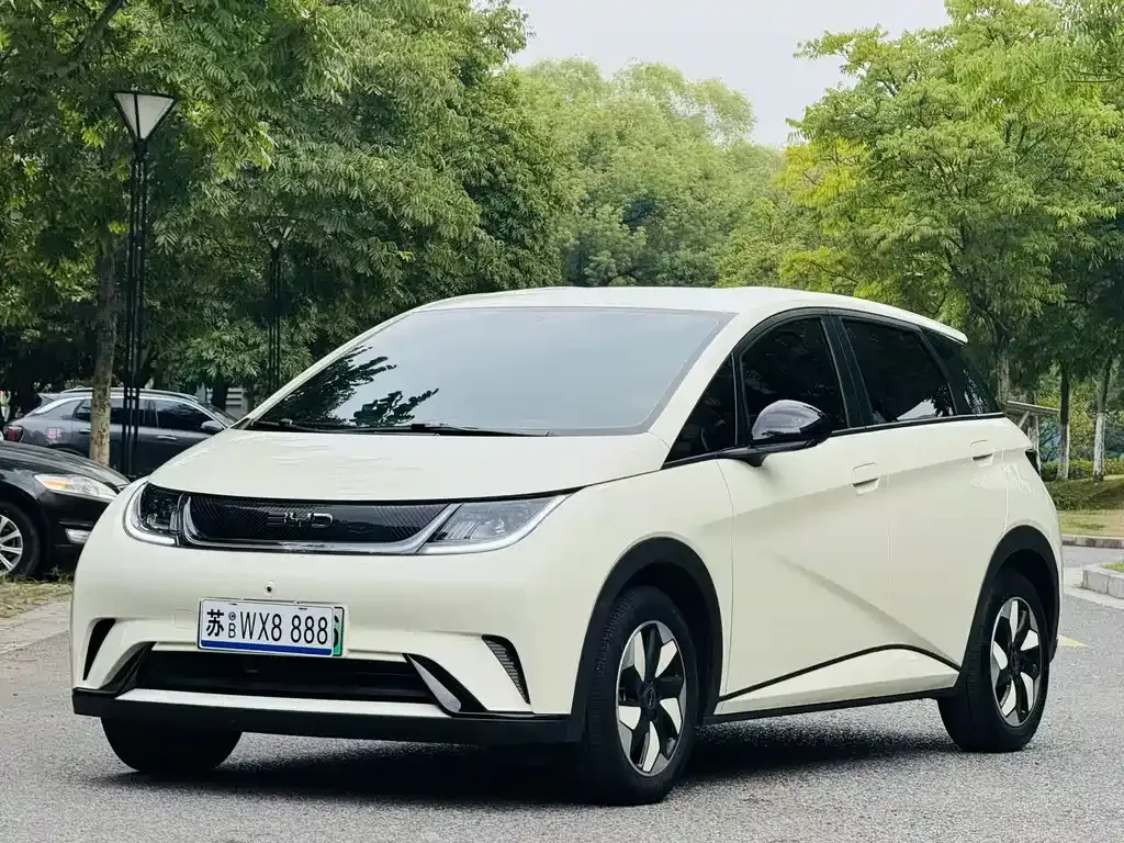 2024 BYD Dolphin Honor 420km Fashion