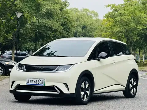 2024 BYD Dolphin Honor 420km Fashion
