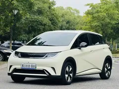 2024 BYD Dolphin Honor 420km Fashion, белый — фото 1