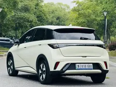 2024 BYD Dolphin Honor 420km Fashion, белый — фото 4