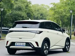 2024 BYD Dolphin Honor 420km Fashion, белый — фото 6