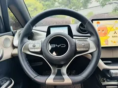2024 BYD Dolphin Honor 420km Fashion, белый — фото 9