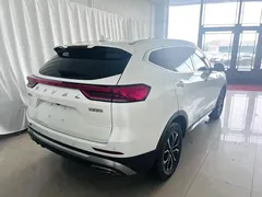 2023 Haval H6 1.5T AT Guochao Urban, белый — фото 11