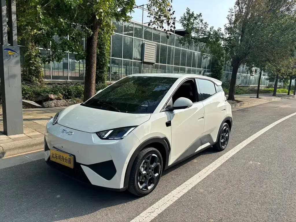 2025 BYD Seagull 305km Freedom