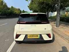 2025 BYD Seagull 305km Freedom, белый — фото 9