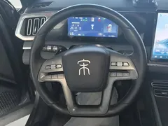 2026 BYD Song Pro DM-i PHEV 133km Exceed — фото 15
