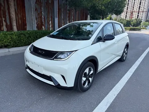 2025 BYD Dolphin 420km Freedom