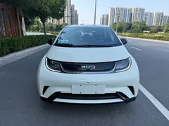 2025 BYD Dolphin 420km Freedom, белый — фото 2