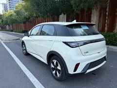 2025 BYD Dolphin 420km Freedom, белый — фото 10