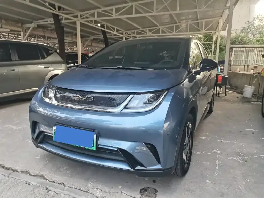 2024 BYD Dolphin Glory 420km Freedom