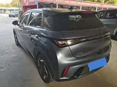 2024 BYD Dolphin Glory 420km Freedom, синий — фото 9