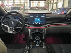 2023 BYD Qin PLUS Champion DM-i PHEV 120km Excellence, белый — фото 9