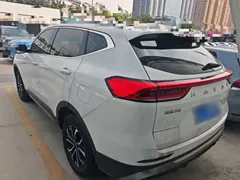 2021 Haval H6 1.5T AT Guochao Urban, белый — фото 5