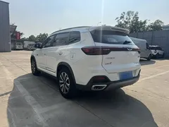 2020 Chery Tiggo 8 290TGDI AT Luxury 6-seat, белый — фото 6