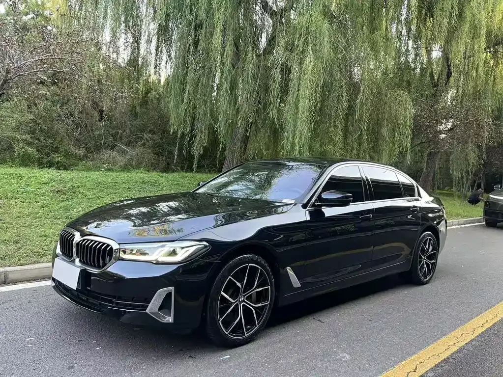 2021 BMW 5 Series 530Li Leading Luxury Package